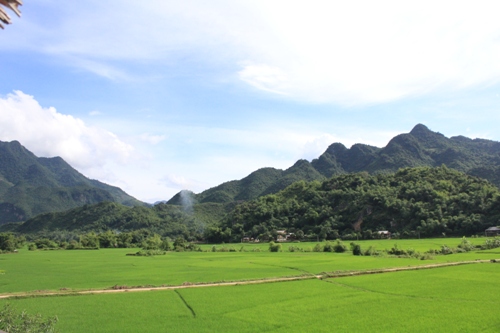 Màu xanh trù phú của núi rừng và đồng lúa ở Mai Châu.