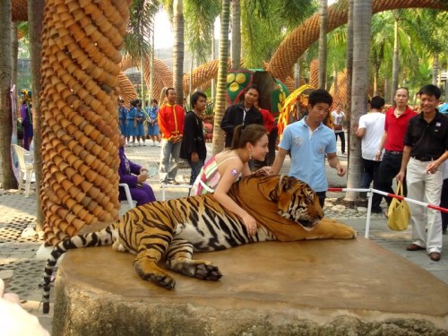 Trại hổ (Tiger Zoo)